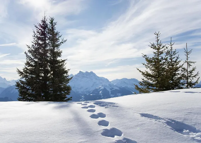 Appartement Argentiere 8 By Interhome